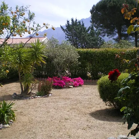 Aux Pieds Des Montagnes *